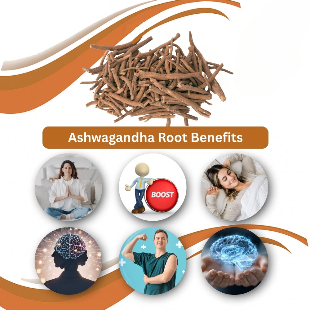 Ashwagandha Root (Asgandh Jad) Benefits Infographic – Premium Natural Herbal Root