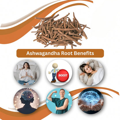Ashwagandha Root (Asgandh Jad) Benefits Infographic – Premium Natural Herbal Root
