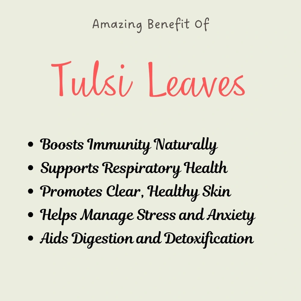 Tulsi Leaves Powder