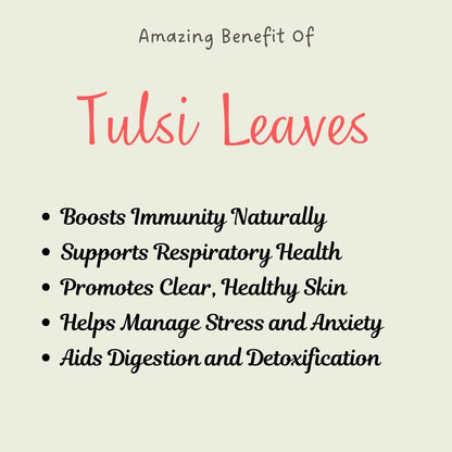 Tulsi Leaves Powder