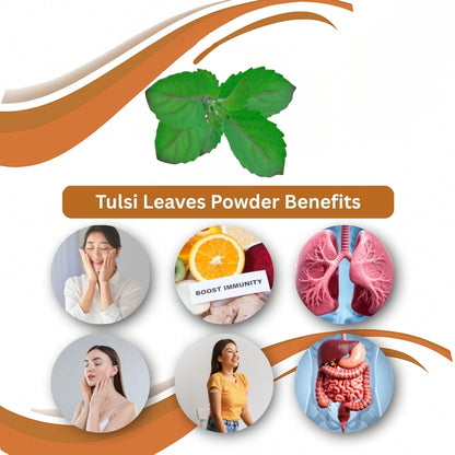 Tulsi Leaves Powder