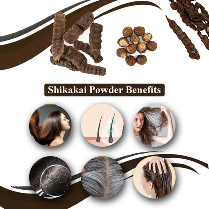 Shikakai Powder